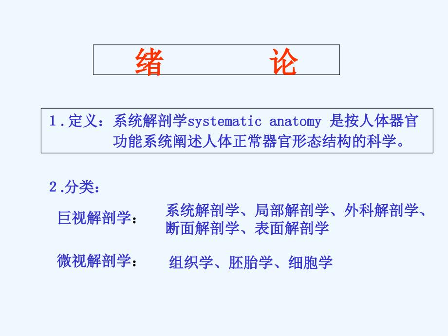 系统解剖学 课件_第3页