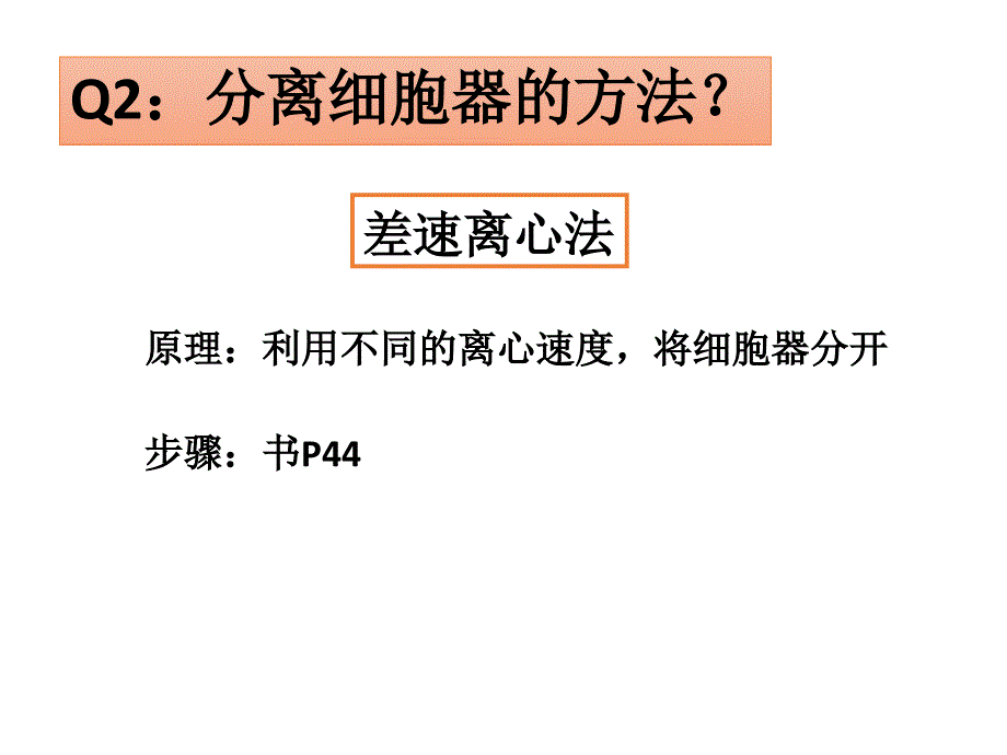 细胞器-系统内的分工与合作Z_第4页