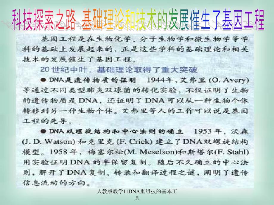 人教版教学11DNA重组技的基本工具课件_第2页