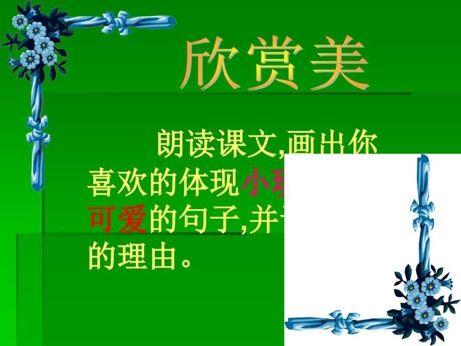 珍珠鸟教学课件.ppt_第5页