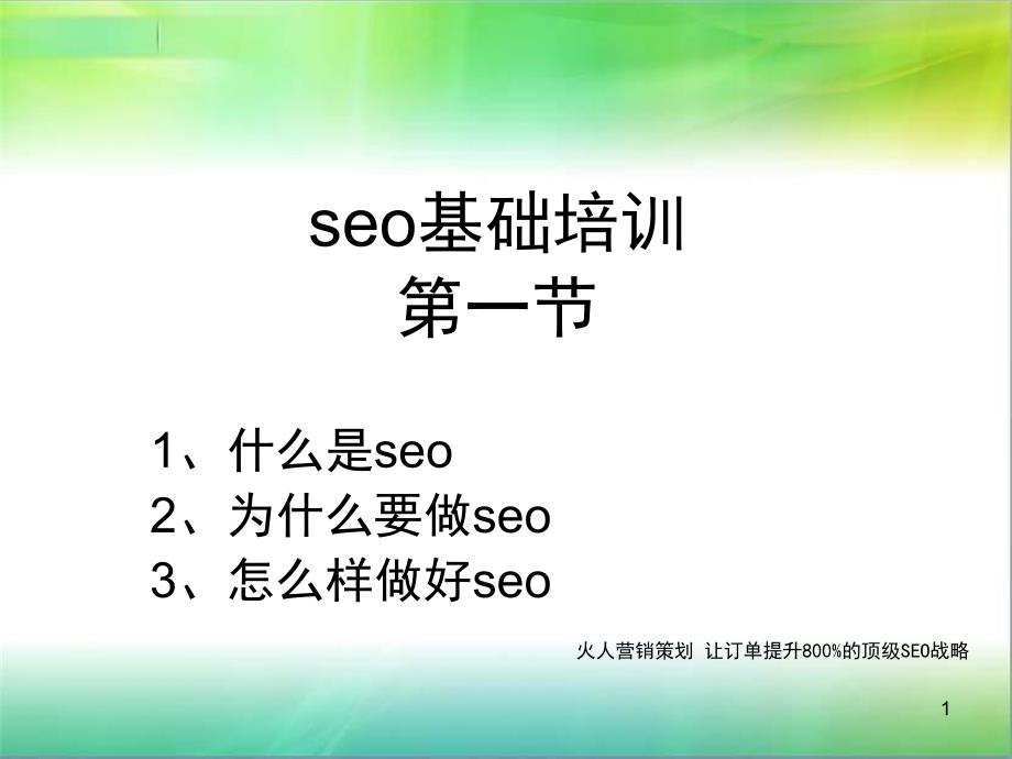 SEO培训教程一套seo真正意义培训火人张继光_第1页