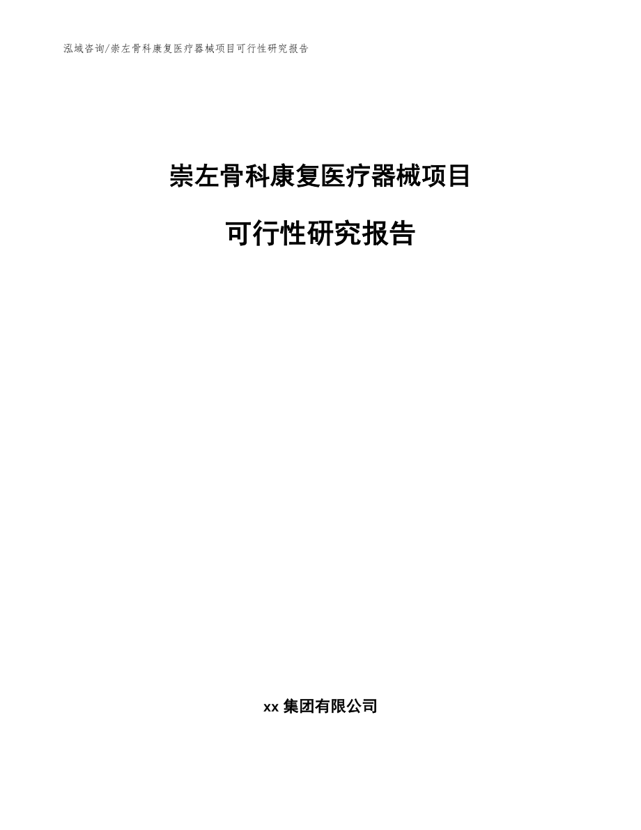 崇左骨科康复医疗器械项目可行性研究报告_范文_第1页