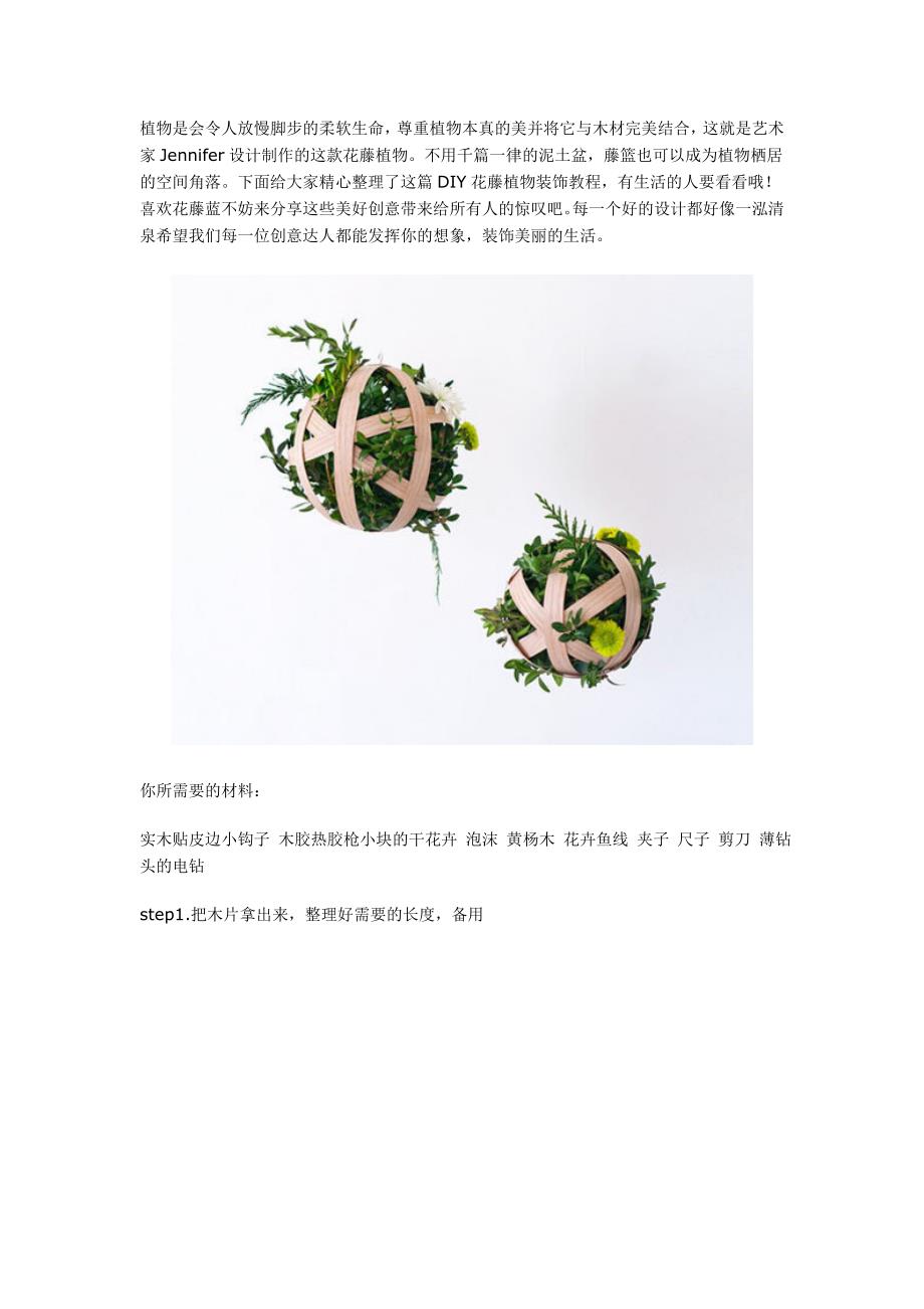 DIY花藤植物装饰教程.doc_第1页