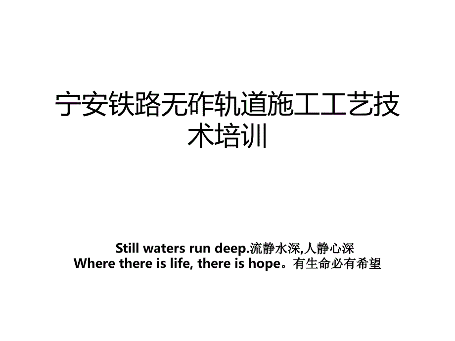 宁安铁路无砟轨道施工工艺技术_第1页
