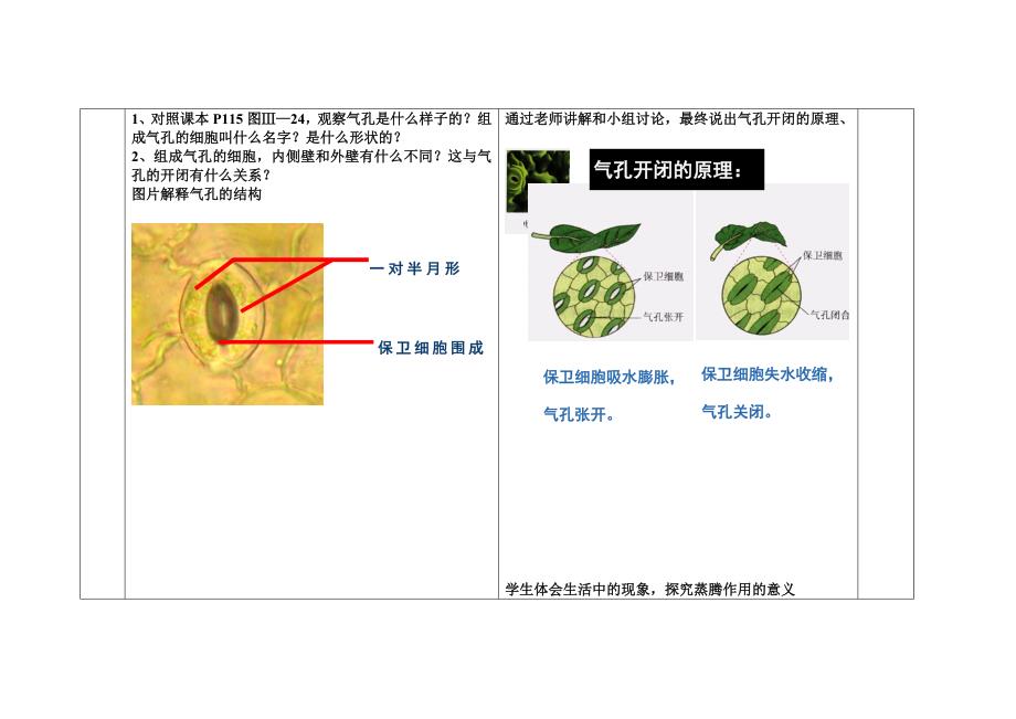 绿色植物参与生物圈的水循环（定稿）.doc_第4页