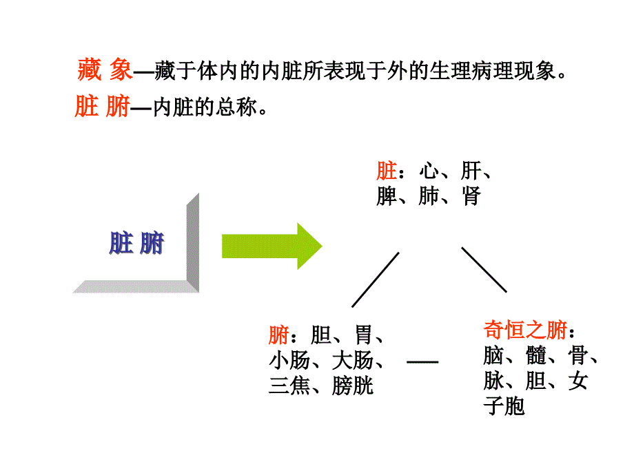 了解你的五脏_第2页