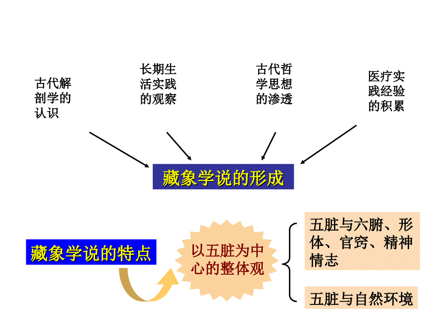 了解你的五脏_第3页