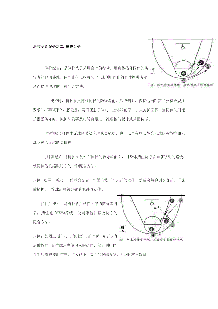 篮球知识2杨希_第2页