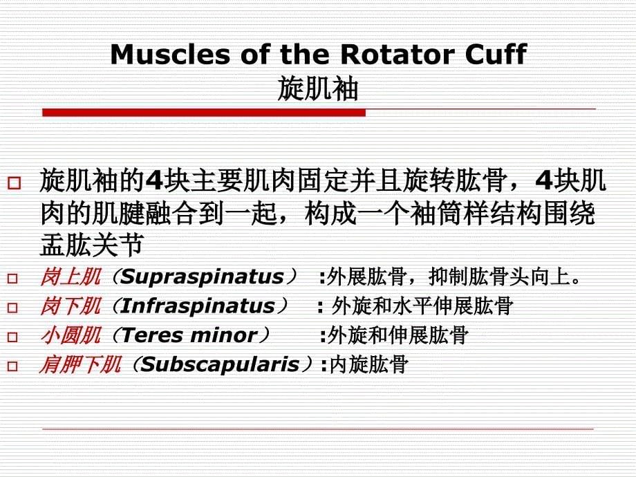 脑卒中后偏瘫肩痛的预防和治疗胡斌_第5页