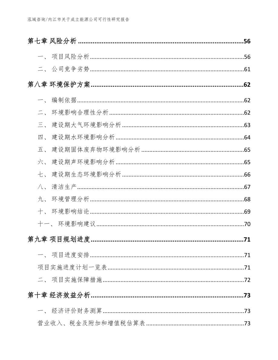 内江市关于成立能源公司可行性研究报告【模板范本】_第5页