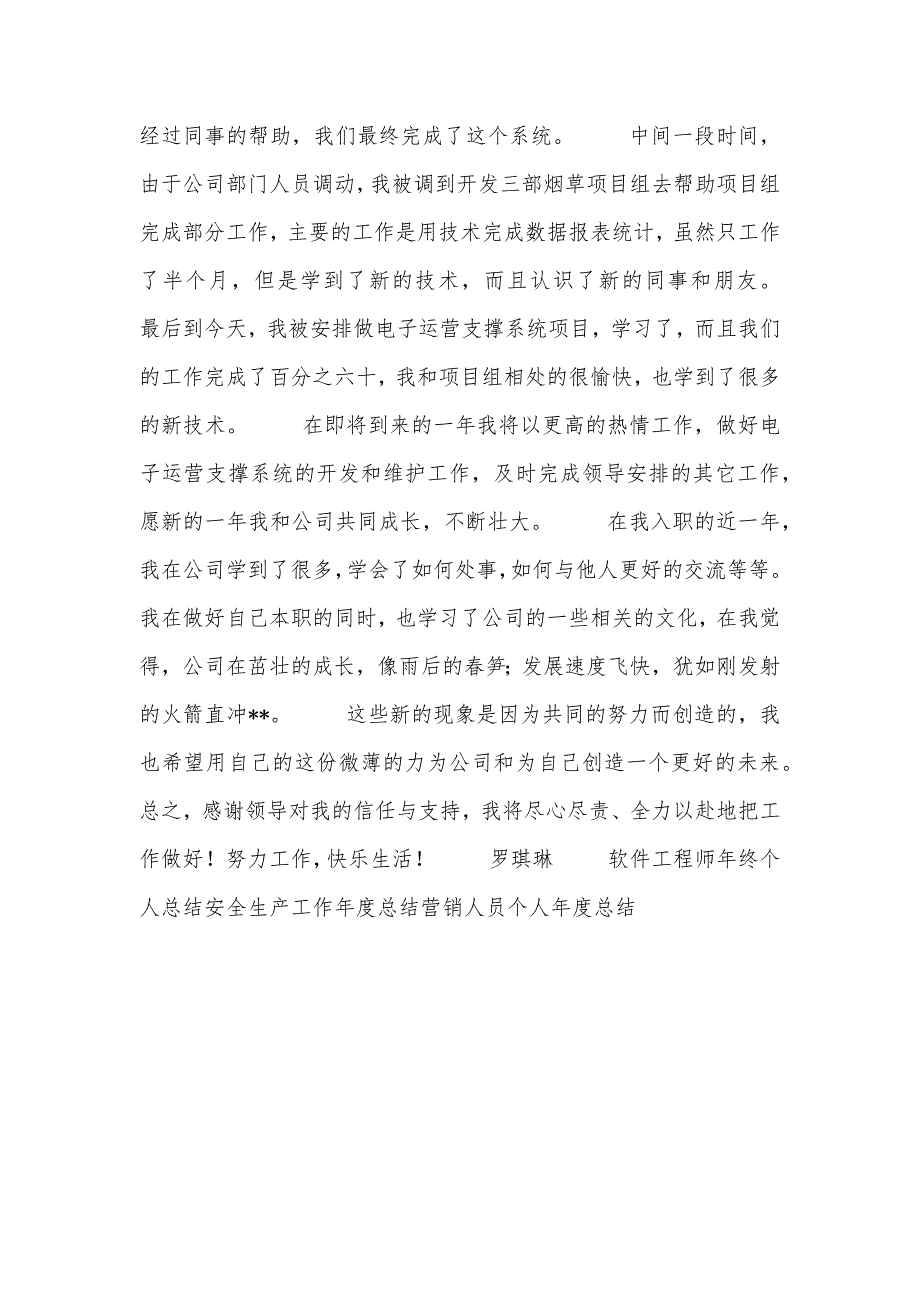 软件行业个人年度总结报告_第2页