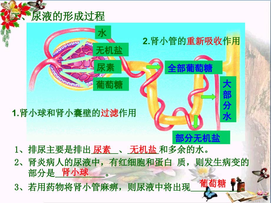 七年级生物下册-第六章-第一节-人体对外界的感知(眼和视觉)课件-新人教版_第3页