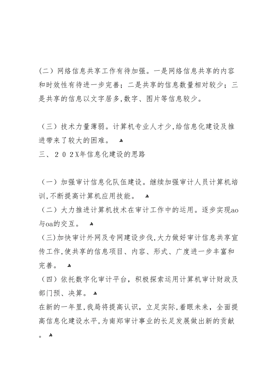 审计局审计信息化工作总结_第5页