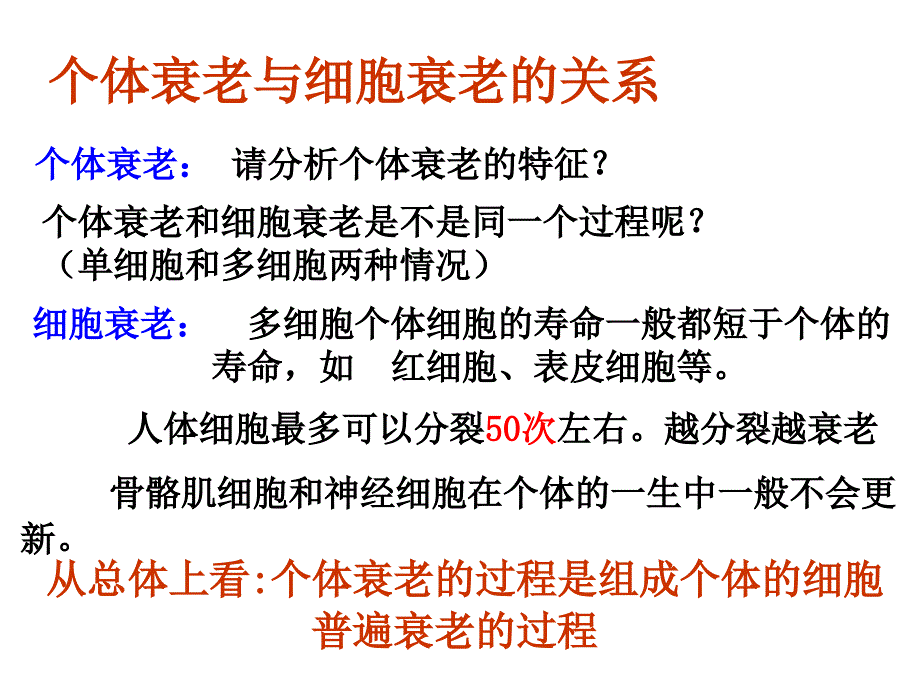 6.3细胞的衰老和凋亡课件2_第3页