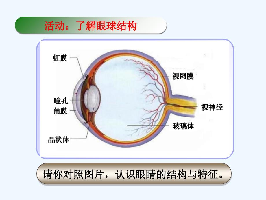 照相机与眼球视力的矫正_第3页