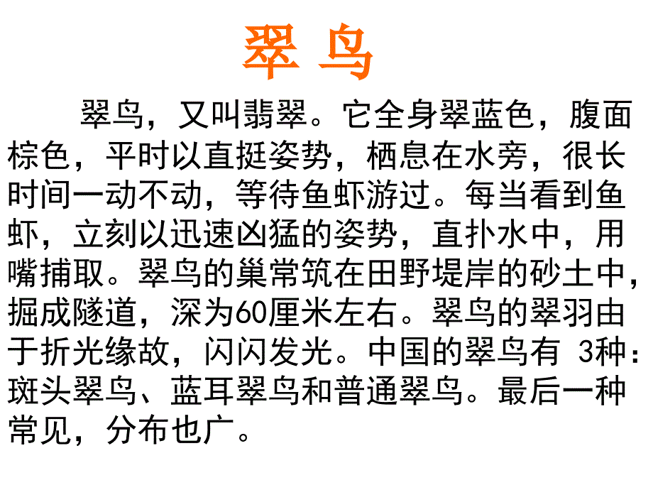 人教版三年级下册《翠鸟》课件_第2页