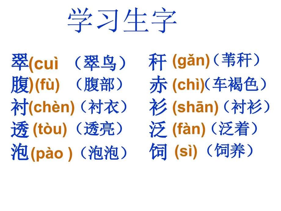 人教版三年级下册《翠鸟》课件_第5页