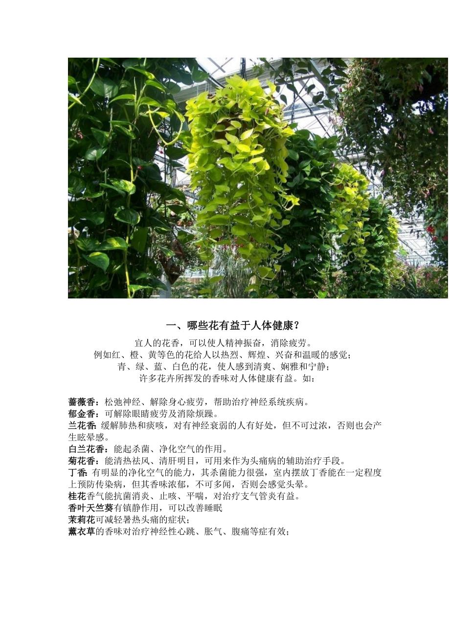 精心整理的一些家居植物种植技巧果断收藏留着以后用.doc_第2页