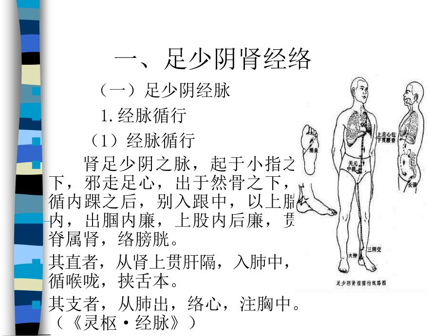 经络学足少阴肾经_第2页