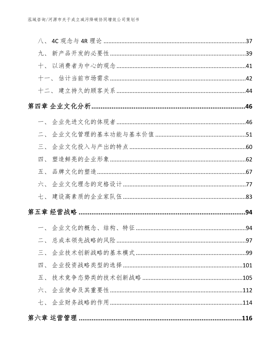 河源市关于成立减污降碳协同增效公司策划书模板范本_第3页