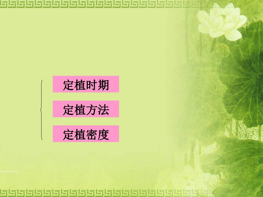 《园艺植物的定植》PPT课件.ppt_第4页