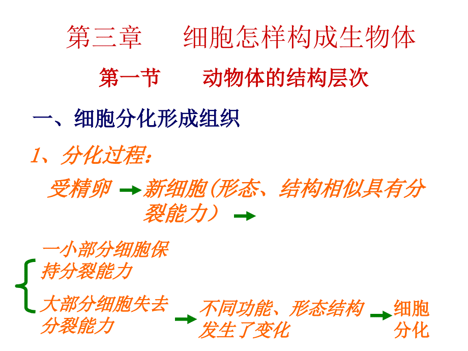 动物体的结构层次课件1_第1页