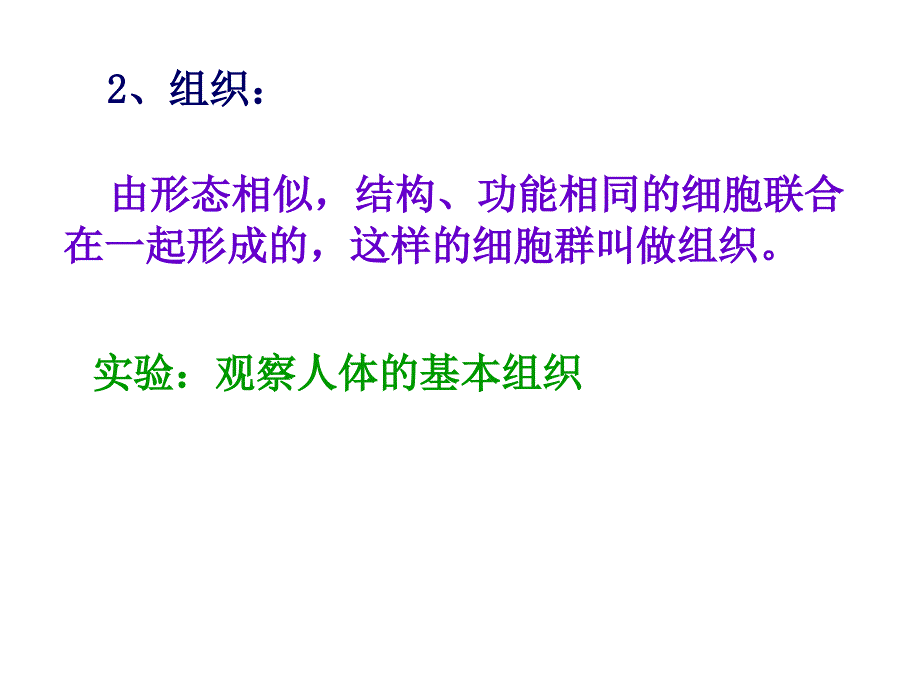 动物体的结构层次课件1_第2页