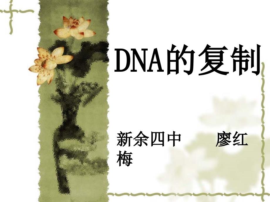 DNA的复制shuoke_第1页