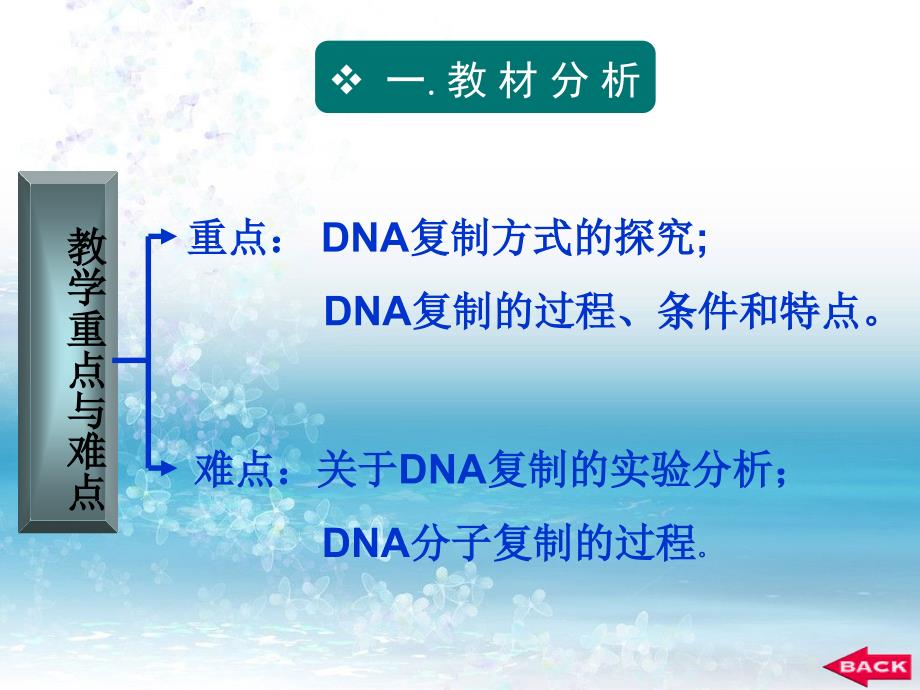 DNA的复制shuoke_第4页