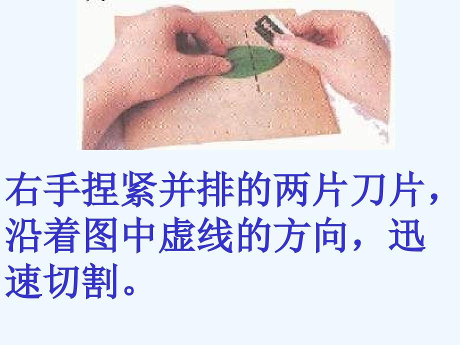 绿色植物与生物圈的水循环PPT课件_第4页