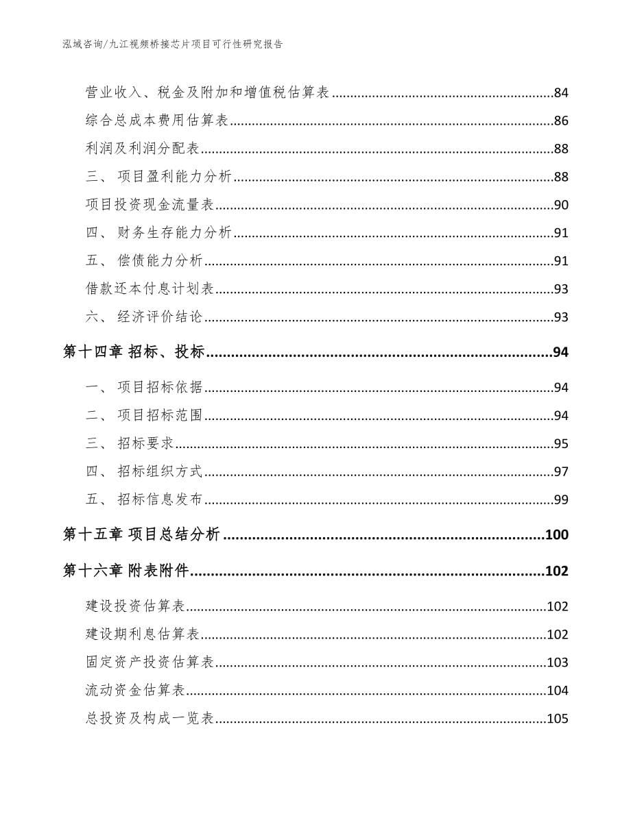 九江视频桥接芯片项目可行性研究报告_第5页