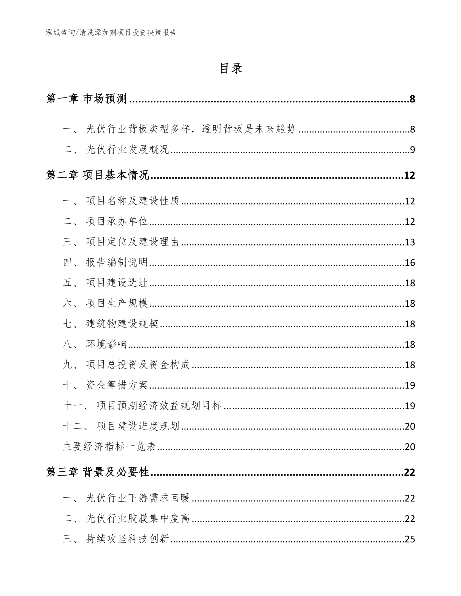 清洗添加剂项目投资决策报告【模板参考】_第2页