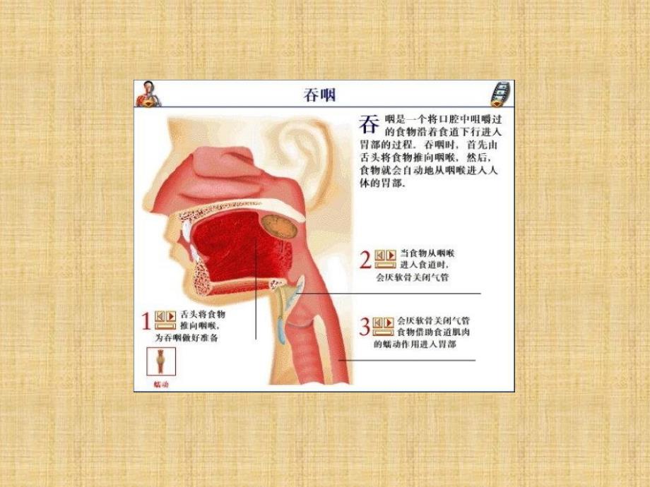 导尿管球囊扩张术在吞咽障碍治疗中应用_第4页