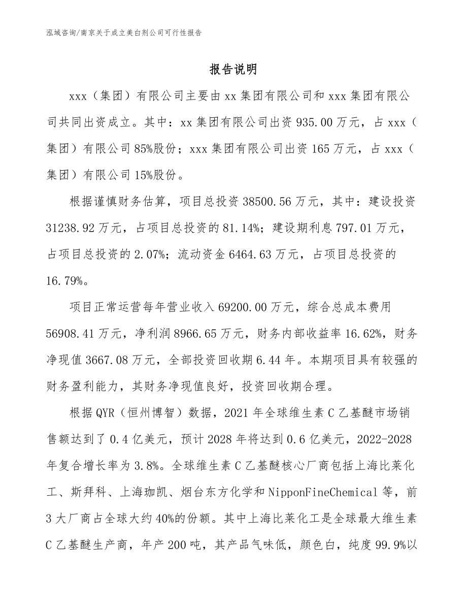 南京关于成立美白剂公司可行性报告_范文_第2页