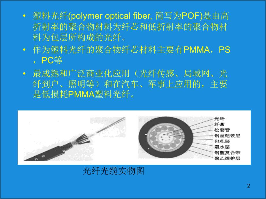 塑料光纤传感器_第2页