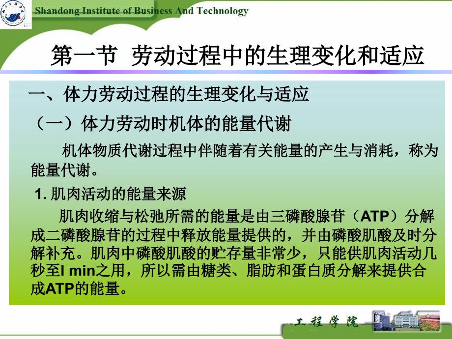 职业劳动过程中的不良因素危害及预防_第4页