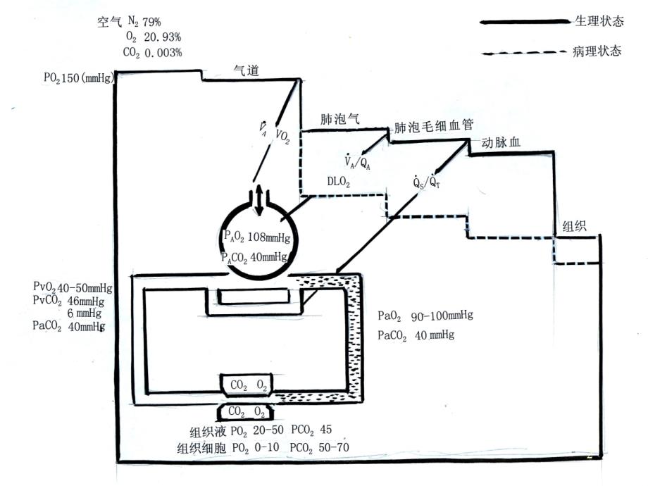 呼吸衰竭诊治进展ppt课件_第2页