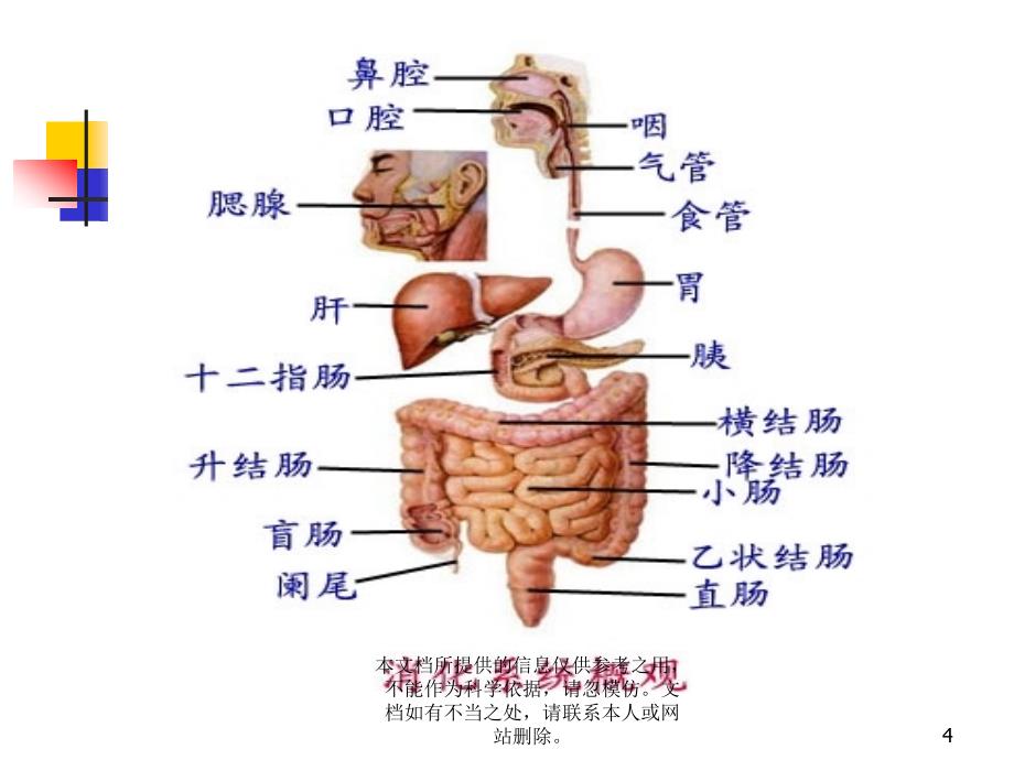 上消化道出血临床指南_第4页