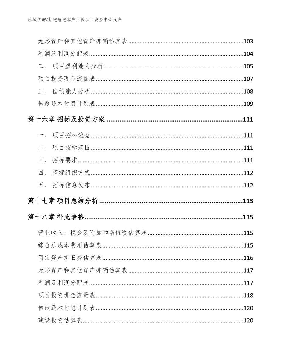 铝电解电容产业园项目资金申请报告范文参考_第5页