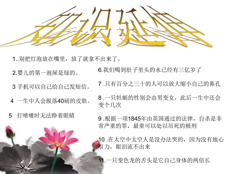 冷知识幻灯片_第4页