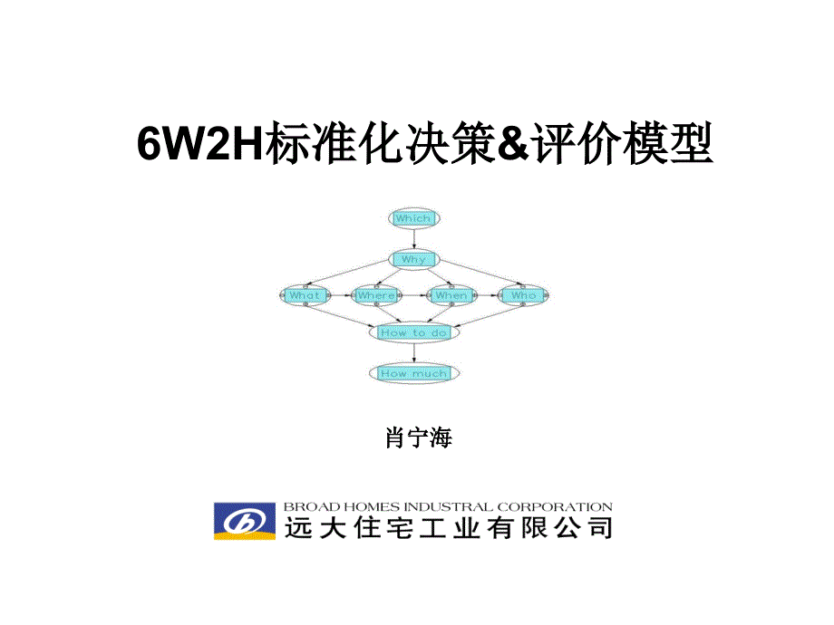 6W2H通用决策_第1页