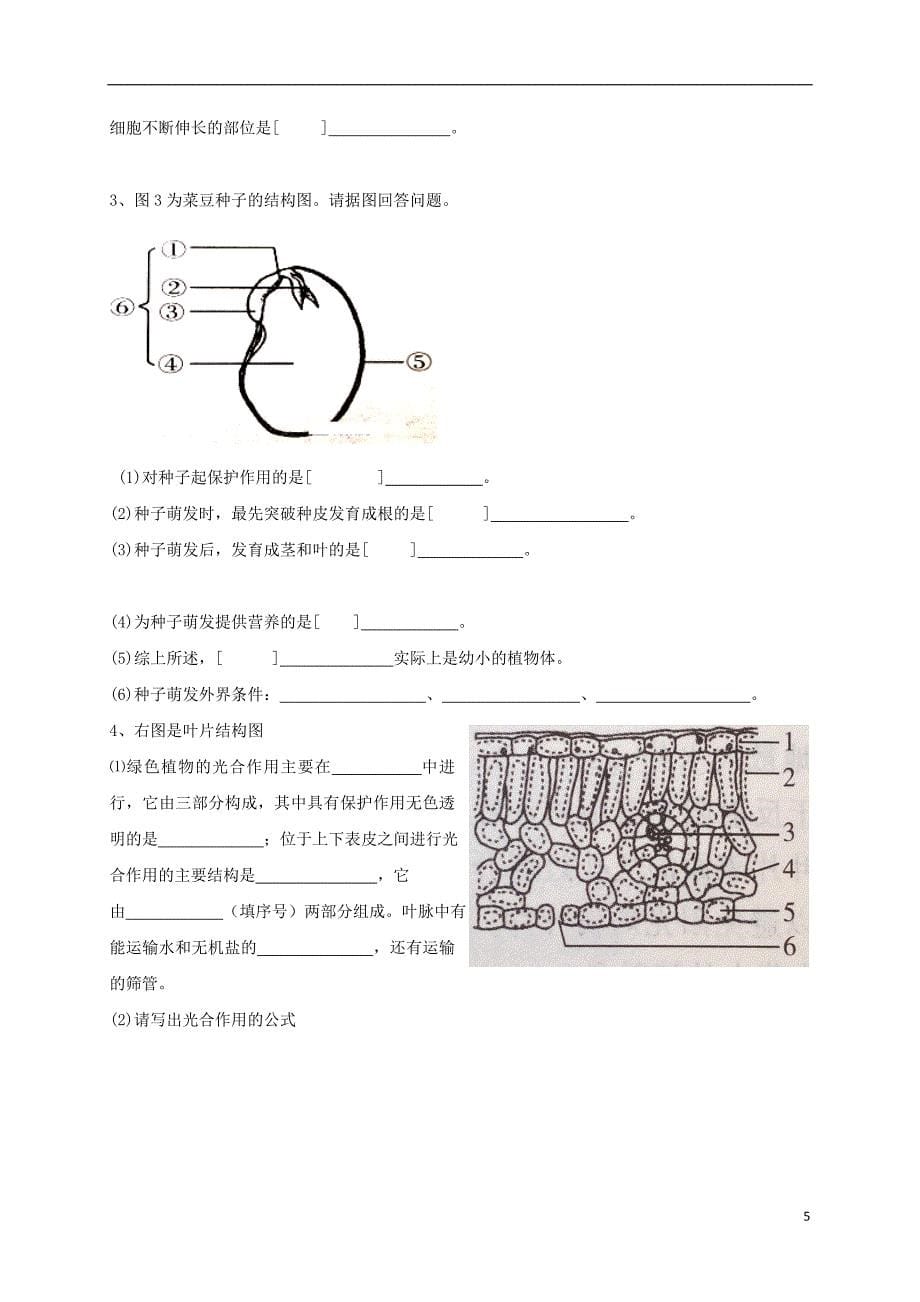 黑龙江省鸡西虎林市东方红林业局中学2017-2018学年八年级生物上学期期中试题（无答案） 新人教版_第5页