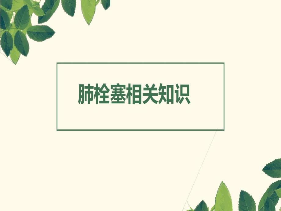 肺栓塞相关知识共32页文档课件_第2页