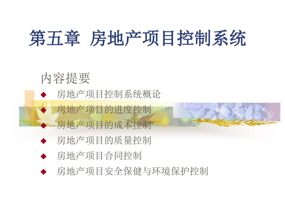 医学课件第五部分房地产项目控制系统_第1页