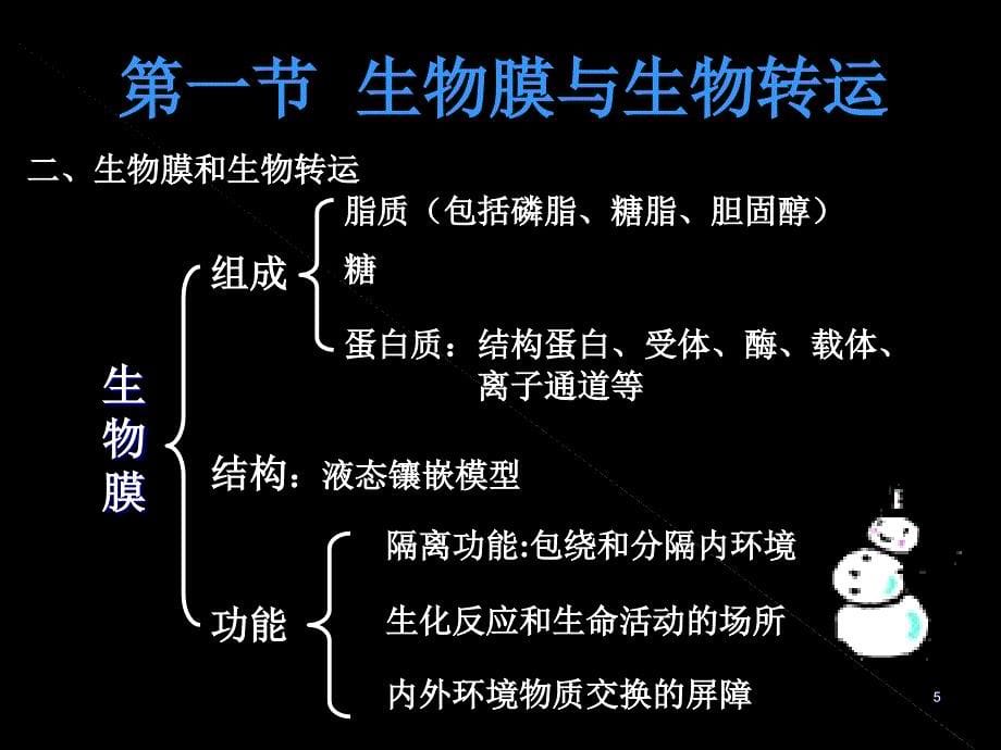 外源化学物在体内的生物转运与转化_第5页