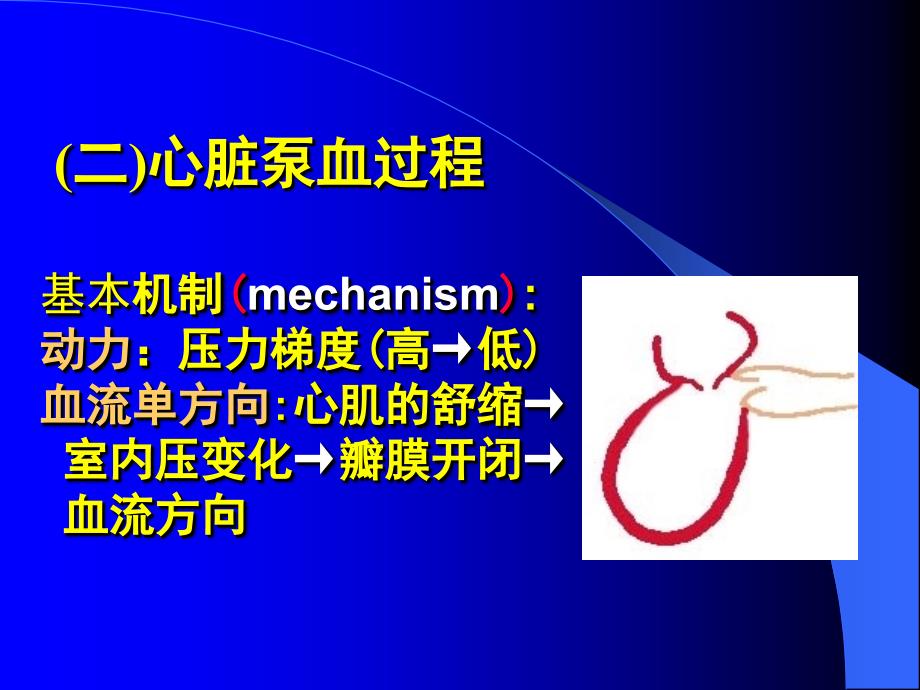 四章节血液循环Bloodcirculation_第4页