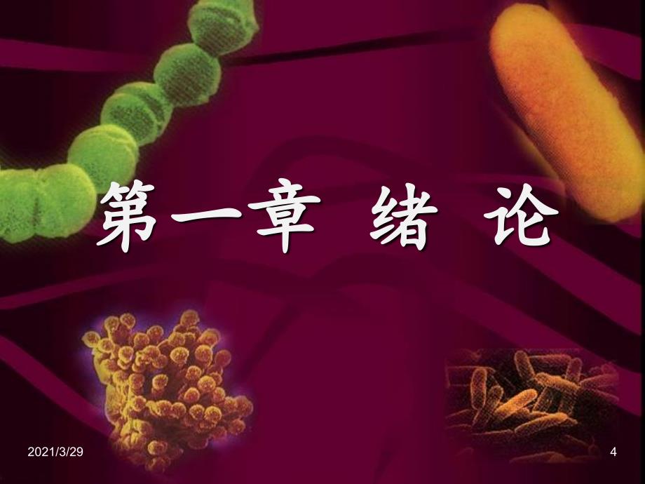 环境微生物学课堂PPT_第4页