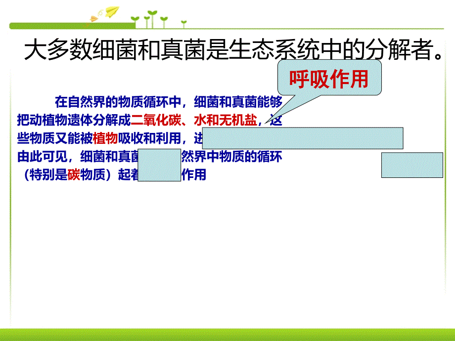 人教版八上生物5.4.4细菌和真菌的作用课件_第4页