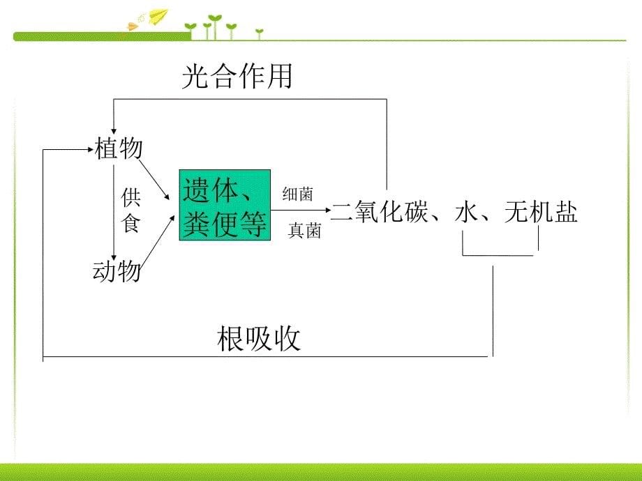 人教版八上生物5.4.4细菌和真菌的作用课件_第5页