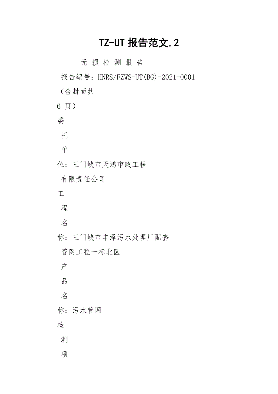 TZ-UT报告范文,2.docx_第1页